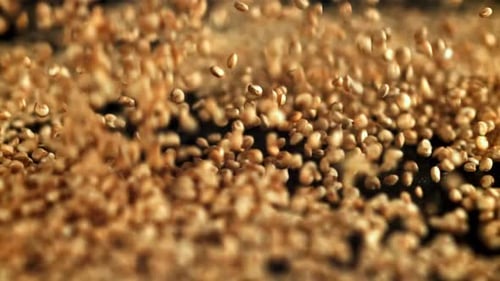 Quinoa Grains Falling in Slow Motion