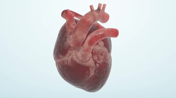 Loop Animation Of 3d Heart Beating With Neon Heart Pulse, 3d Heart ...