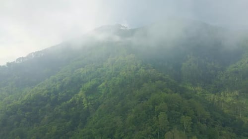 Drone fly over the cloudy fog haze of the rainforest of indonesia. Mountain forest view of rural lan