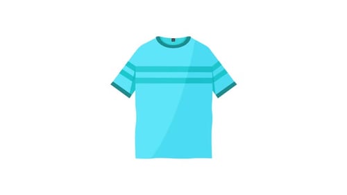 Animated Flat Design T-shirt Reveal