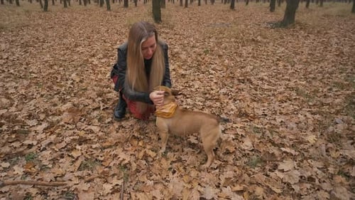 Young Beautiful Woman Walking with Her Dog in the Forest or Park