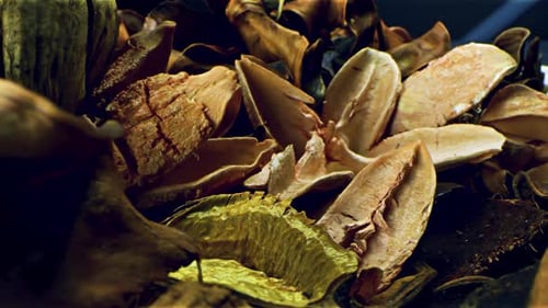 Dried Flower Arrangement Slowly Rotating on Display