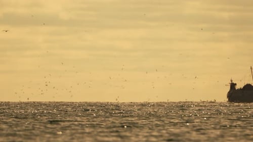 Abstract Sea Ocean Sunset Nature Background with Seagulls and Fishing Boat Trawler Catches Fish