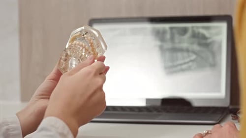 Dentist Consults with Patient Using Dental Model