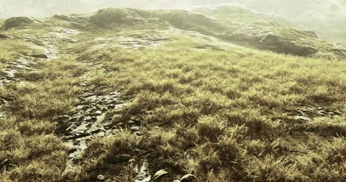 Natural Landscape with Rocky Terrain and Overgrown Grass in Soft Light