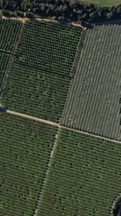 Aerial View of Green Field With River in Corsica, France