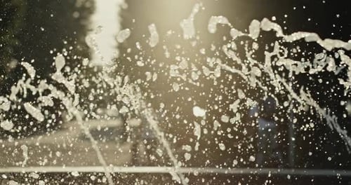 Summer Warm Background with Fantan Drops of Water in the Park Against the Backdrop of Golden Sunset
