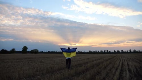 Young Man Walks with National Blueyellow Banner on Barley Meadow at Sunrise Ukrainian Guy Going with