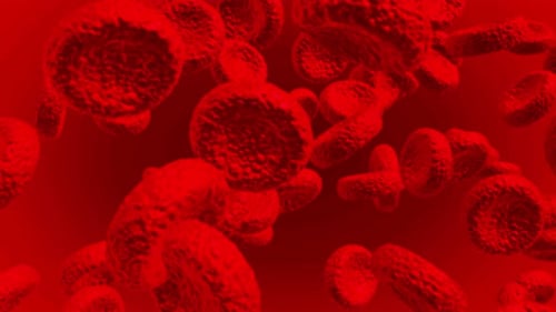 Animated Microscopic Red Blood Cells Flowing Background