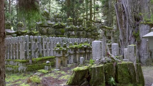 Beautiful temple grounds with overgrown moss in Japan