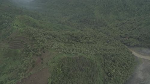 Tropic mountain jungle green with coconut palm trees on high hills