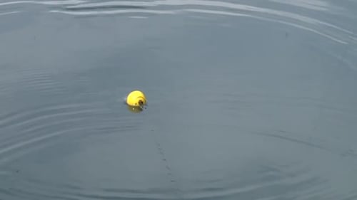 Bobber schwimmt auf dem Wasser - Hochwinkelaufnahme