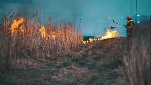 Firefighters Battling Wildfire in Rural Field at Night
