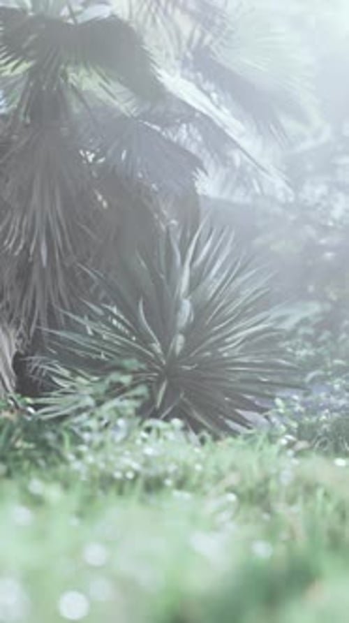 Creative Tropical Green Leaves Nature Spring Concept
