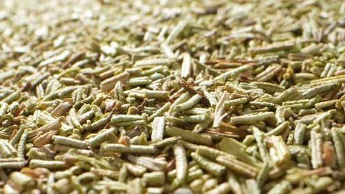 Dry rosemary, captured through a probe lens.