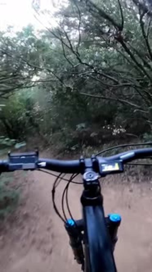 Vertical Point of View of Mountain Male Biker Riding Fast on Flow Single Track Trail in Green Forest
