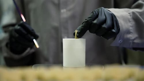 Technician in Black Gloves Handling Small Components in High-Tech Laboratory