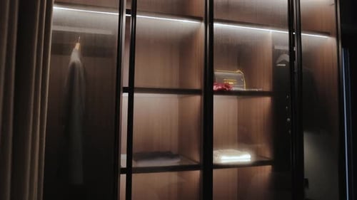 Modern Illuminated Closet Interior