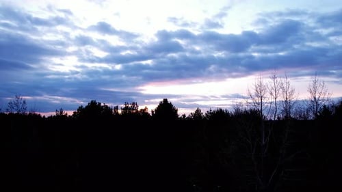Dawn Breaks over Forest Landscape