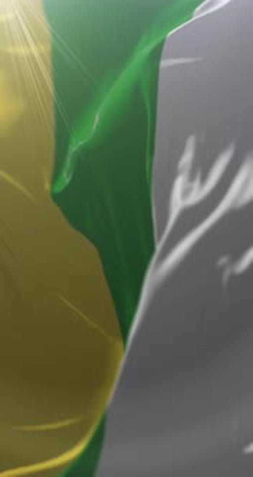 Realistic Ivory Coast Flag Waving Seamless Loop Vertical