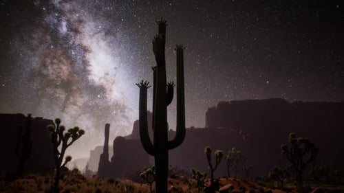 The Milky Way Above the Utah Desert USA