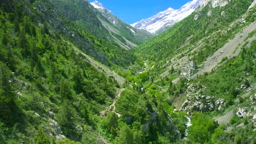 Aerial View of a Green Mountain Valley with a Winding Path River Trees and Snowcapped Peaks in the