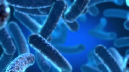 Animated 3D Bacteria Cells Floating in Blue Medical Fluid