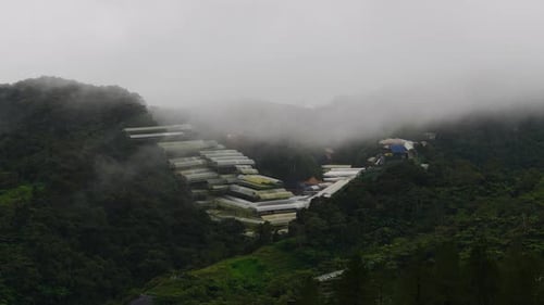 Cloud floating over a plantation farm on mountain. Misty fog blowing over greenhouse. Raining in for