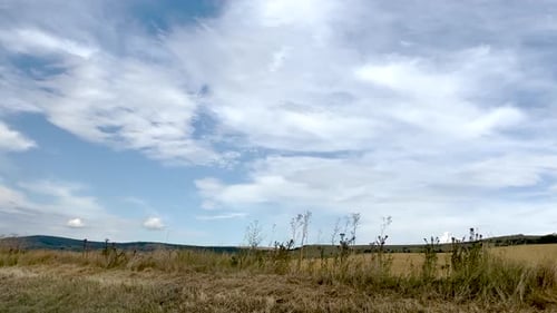 cinematic video from car of coniferous forest, mountain view, meadow and field,