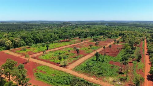 Drone en approche, survol d'une parcelle de terrain et de routes en terre rouge à Misiones, en Argentine