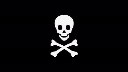 3D Rotating Skull and Crossbones Icon Animation
