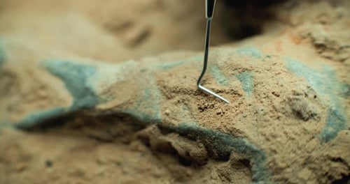 Close Up Shot of Cleaning Skeleton of Prehistoric Human or Animal