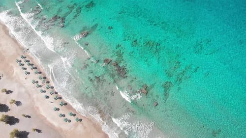 Scenic view of umbrellas at sea coast on sunny day