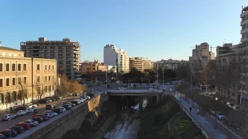 Zumbido saliendo del río de la ciudad de Palma de Mallorca.