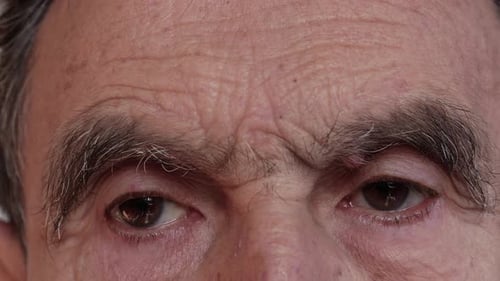 Eyes, skin, eyebrows of an older man. Close-up.