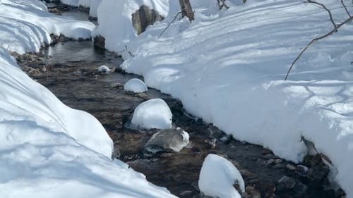 Mountain river in a snowy forest in winter with stream banks covered in snow on frosty day