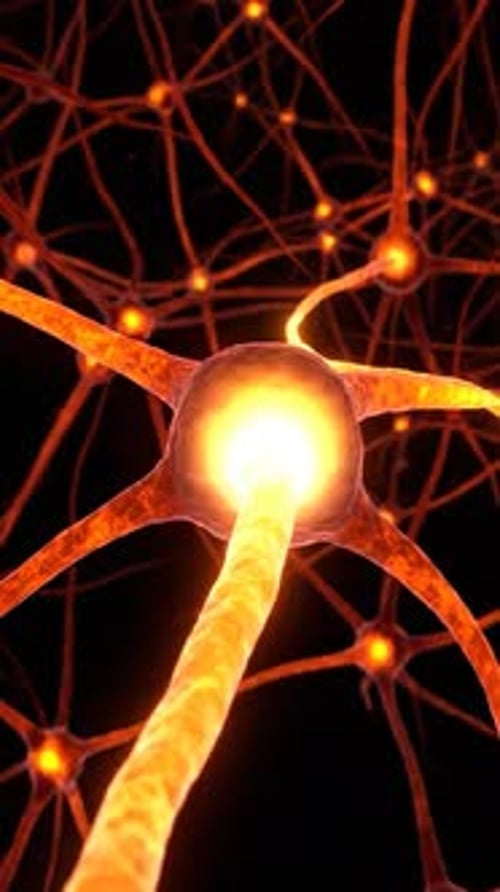 Neurons Nerve Impulse Thermal Metabolic Activity Neural Network 3D Medical Animation Manestream Den