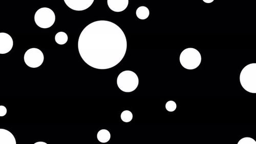 Fluid Organic Circle Morphing Transition Animation