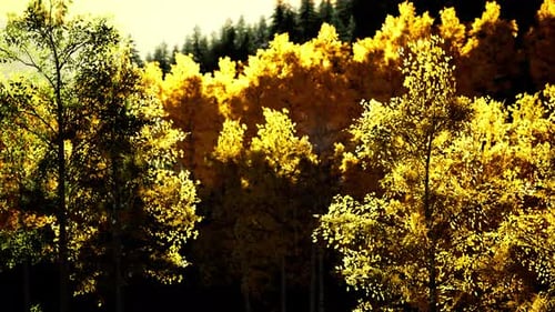 Bright Sunset in the Mountains