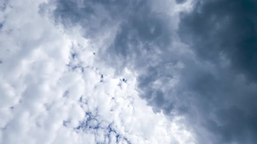 Heavy clouds covering blue sky. White clouds turning into grey. View from below timelapse.