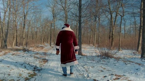 Man Dressed As Santa Claus Walking Through Winter Snowy Forest Carrying Bottle Of Whiskey In Hand. R