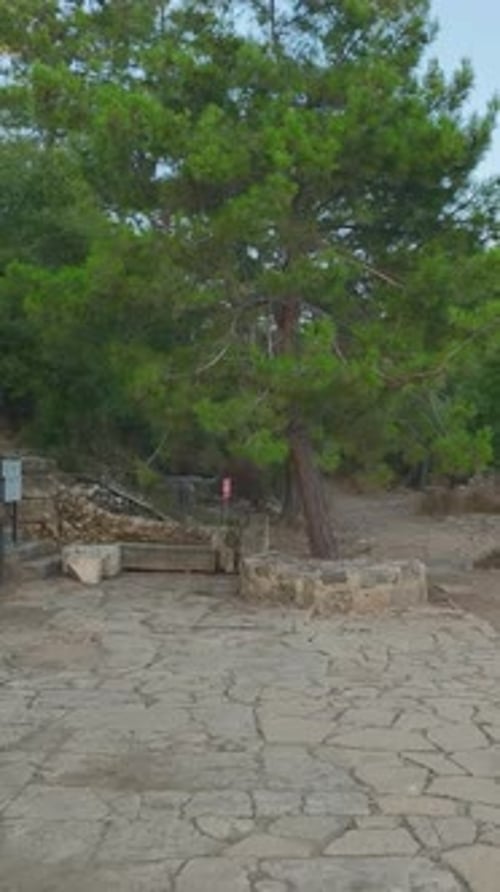 Vidéo verticale Les ruines historiques de Syedra se dressent fièrement sur la côte méditerranéenne à Alanya
