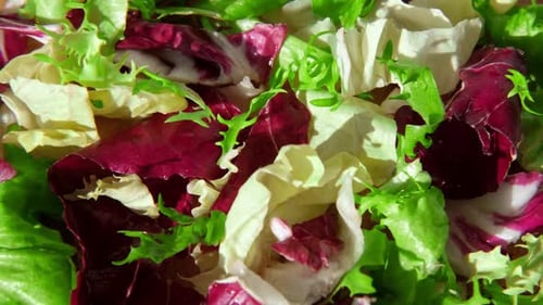 Fresh Mixed Salad Field Greens Piled Closeup Top View Various Vegetable Leaves Wallpaper Healthy