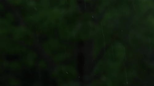 Starker Regen, strömender Regen, Gewitter im Sommer, grüne Bäume im Hintergrund, Windiges, regnerisches Wetter, Schließen