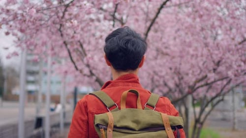 Asian attractive man backpacker walking around beautiful road in city.