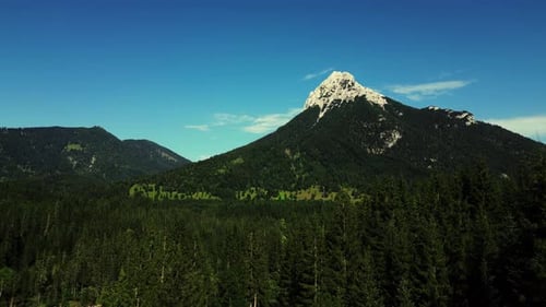 Aerial view of mountains and forest, Austria.