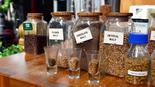 Ingredientes de fabricação de maltes de cerveja, lúpulo e fermento. Indústria de fabricação de cerveja. Ampliar a foto