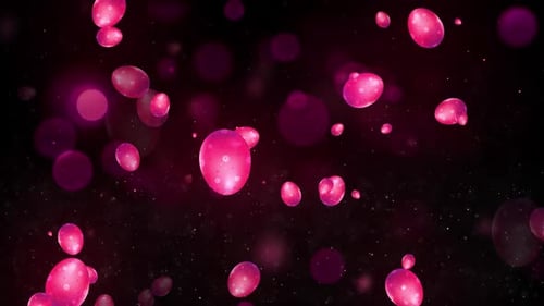 Easter Eggs Background 3