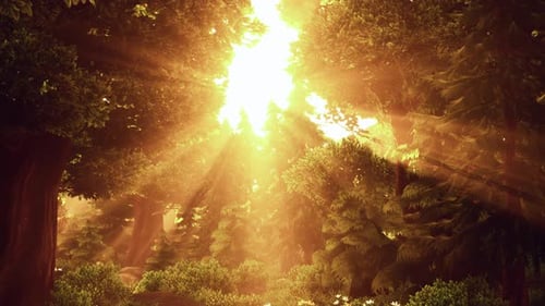 Cartoon Flowering Green Forest on Sunset