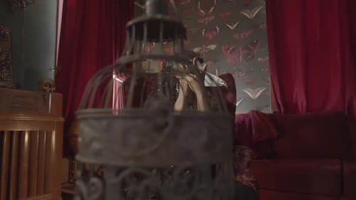 Woman in Lace Mask Gesturing in Red Room